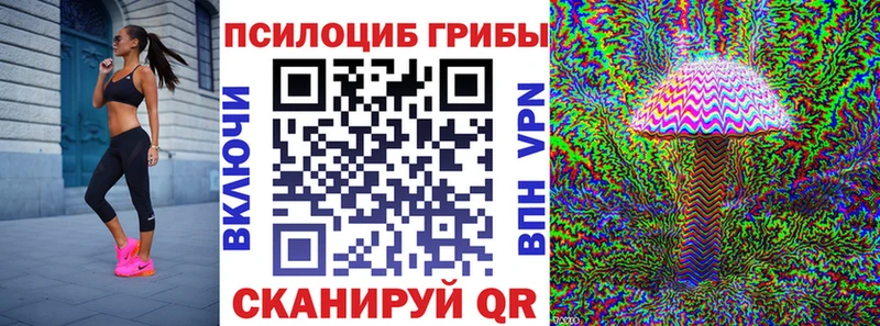 Купить  Камышин  Псилоцибиновые грибы Psilocybine cubensis 